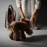 A small brown curly-haired dog stands on a gray studio floor while a person in light beige pants and brown boots reaches down to pet it. A brown leather tote bag sits on the left against a dark gray backdrop.