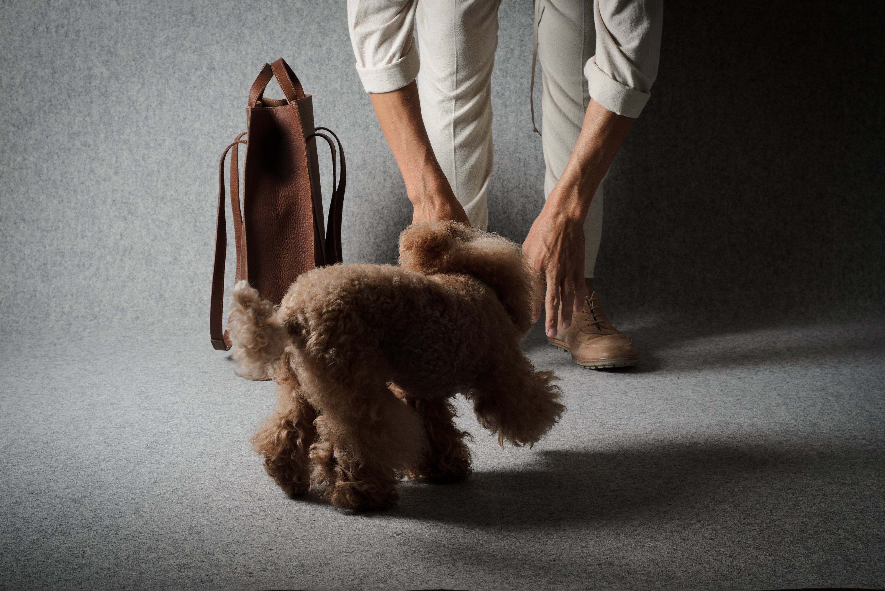 A small brown curly-haired dog stands on a gray studio floor while a person in light beige pants and brown boots reaches down to pet it. A brown leather tote bag sits on the left against a dark gray backdrop.